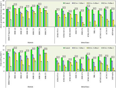 Deciphering trait associated morpho-physiological responses in pearlmillet hybrids and inbred lines under salt stress
